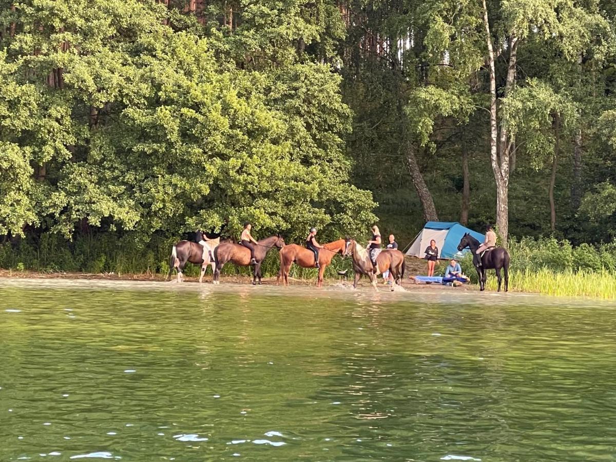 Schadzka W Dwunastce Z Widokiem Na Jezioro Borsk Bagian luar foto